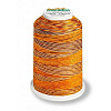 url('/upload/uf/8ea/ls0w1qlf0ebowhcabo1ksn9h7cpl28pv/MADEIRA-9507-100-1000-Aeroflock_0.jpg')